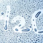 How Hard Water Affects San Antonio Homes